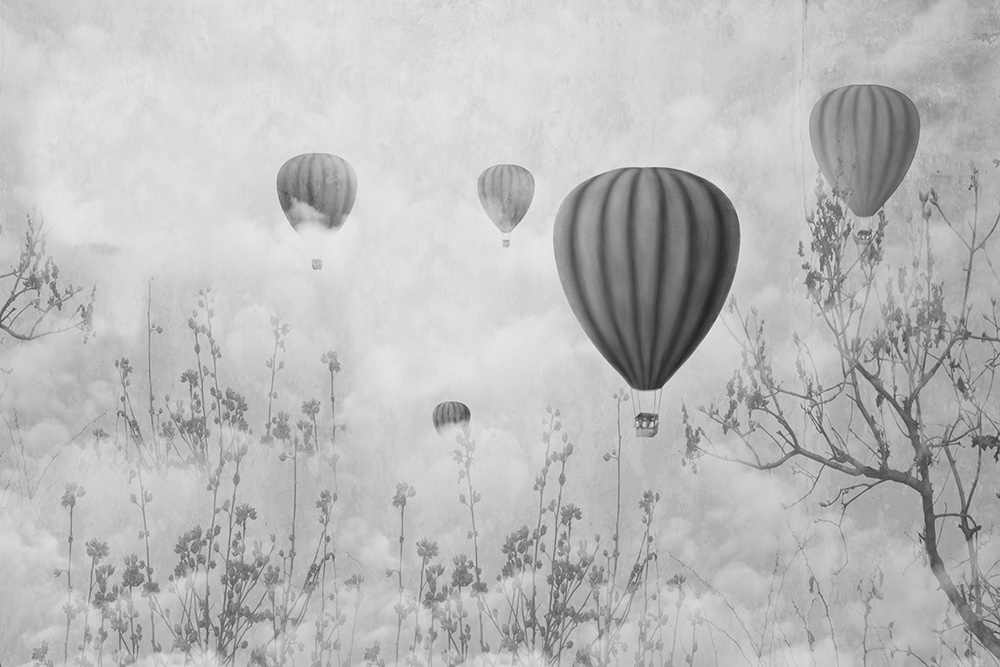 obraz balony vintage czarno biały