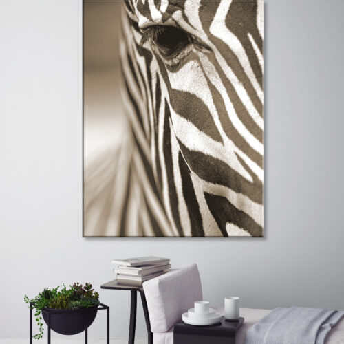 obraz na płótnie Zebra sepia