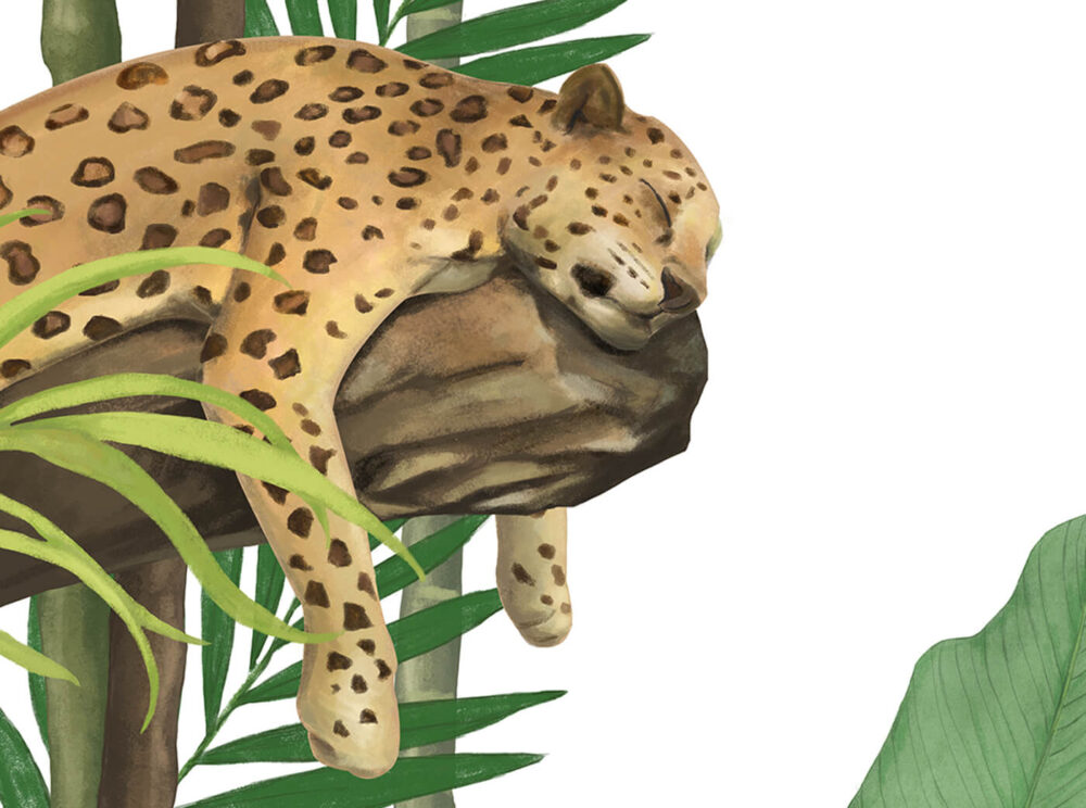 Fototapeta do pokoju dziecięcego przedstawiająca tropikalną dżunglę z jaguarem, papugą, tukanem i liśćmi monstera.