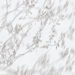 Jasna roślinna fototapeta z subtelnym cieniem gałązek, utrzymana w naturalnym stylu japandi.