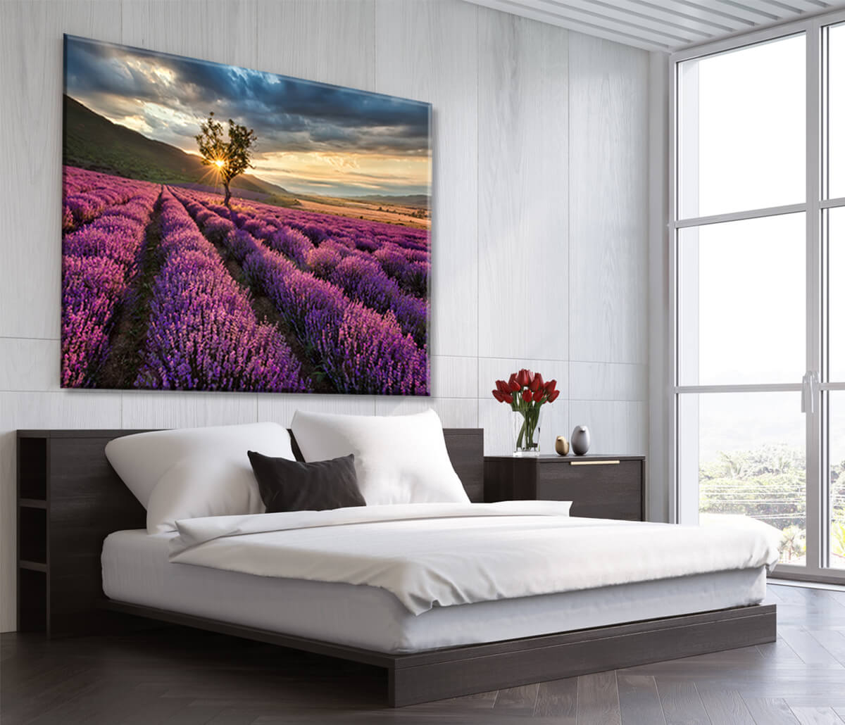obraz do sypialni Lawenda - Kwiaty